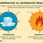 Endothermic Reactions Vs. Exothermic Reactions Worksheet