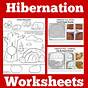 Hibernation Worksheet For Kindergarten
