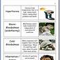 Animals And Their Environment Worksheets