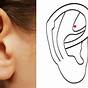 Pressure Point For Ear Pain