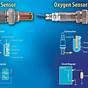 Global Automotive Oxygen Sensor Wiring Diagram