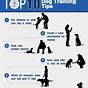 Dog Training Hand Signals Chart