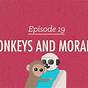 Monkeys And Morality: Crash Course Psychology #19 Worksheet 