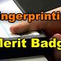 Fingerprinting Merit Badge Worksheets