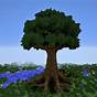 Minecraft Huge Tree Schematic