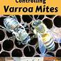 Varroa Mite Natural Treatment
