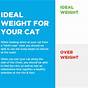Healthy Weight Cat Chart