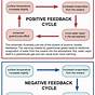Positive And Negative Feedback Explained
