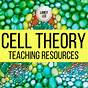 The Cell Theory Worksheets