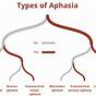 Different Types Of Aphasia Chart