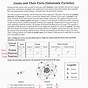 Subatomic Particles Practice Sheet Answers