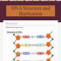 History Of Dna Studies Worksheet Answers