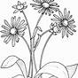 Printable Daisy Coloring Pages