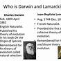 Darwin Vs Lamarck Worksheet