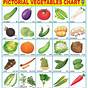 Vegetable Chart For Preschool