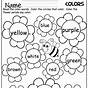 Flower Basics Worksheets