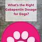 Gabapentin For Dogs Dose Chart