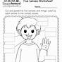 Kindergarten 5 Senses Worksheets