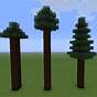 Spruce Forest Minecraft