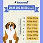 Great Pyrenees Puppy Growth Chart