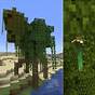 What Does Mangrove Propagule Do In Minecraft
