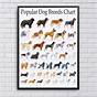Printable Dog Breed Chart