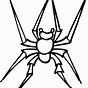 Coloring Page Of A Spider