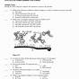 Protein Synthesis Worksheet Thinking Questions Answers
