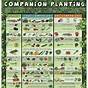 Vegetable Companion Planting Chart Pdf
