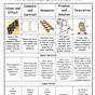 Text Structure 4th Grade Worksheets