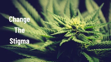 Cannabis Industry Stigma
