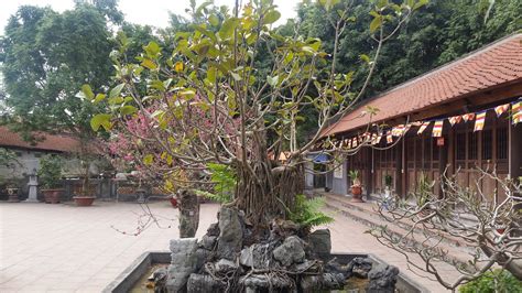 VANG ANH HOTEL BAC NINH - Hotel Reviews & Photos - Tripadvisor