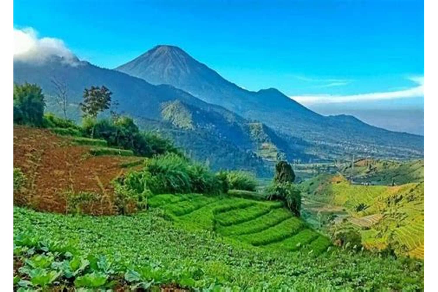 Hobi Travelling Dan Kosakata Wisata Indonesia