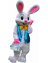 Image result for Women's White Rabbit Costume