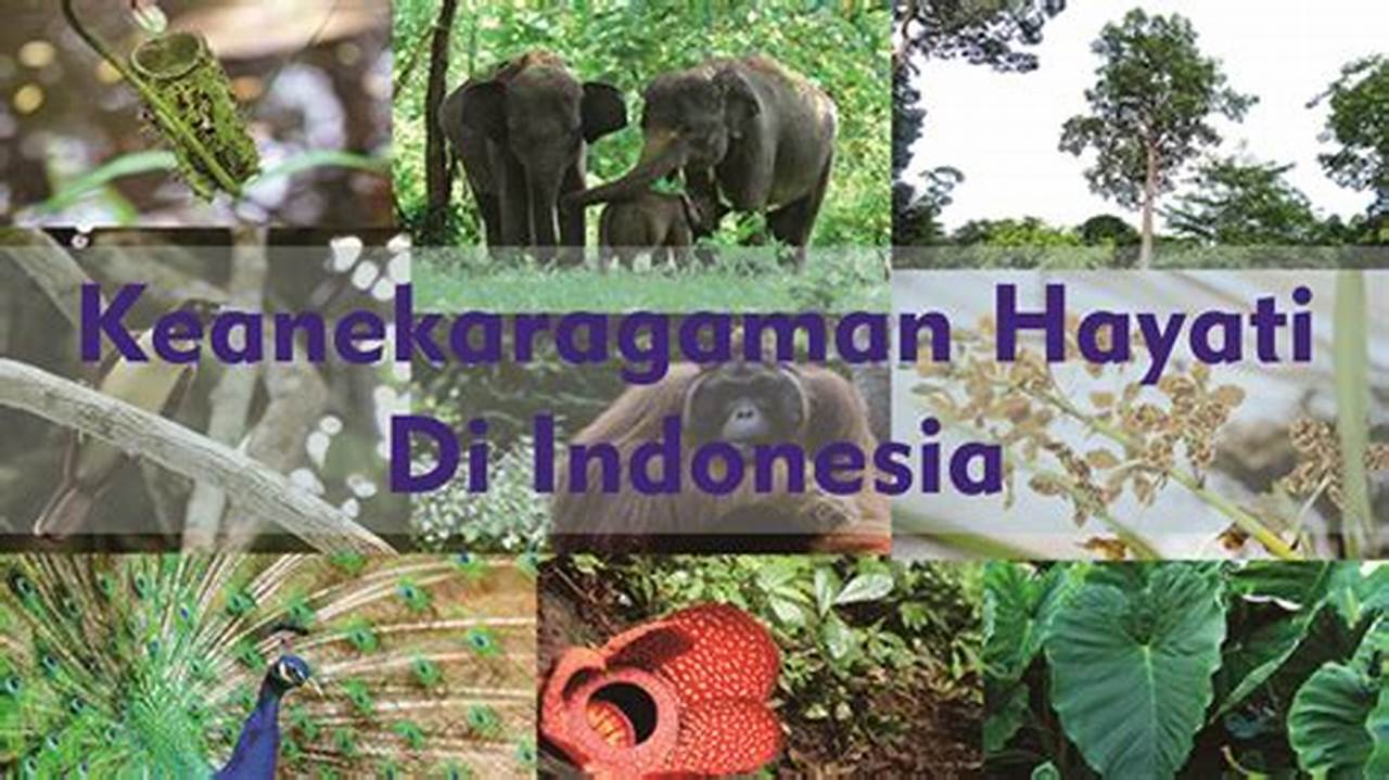 Keanekaragaman Hayati in Indonesia