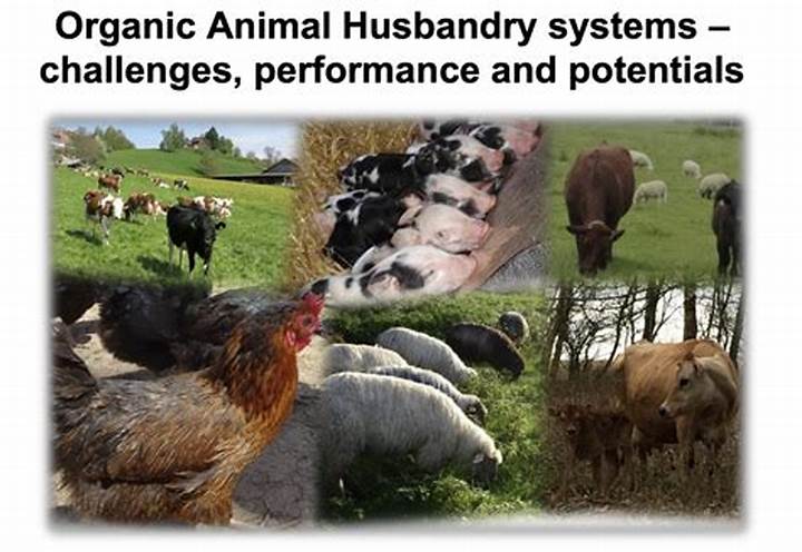 Sustainable Practices in Animal Husbandry Farming