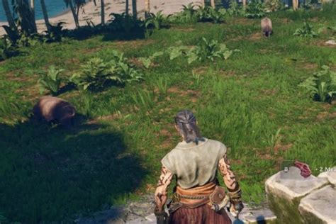 Cómo conseguir el cofre del pirata en Windrose – Quince hombres en la ...