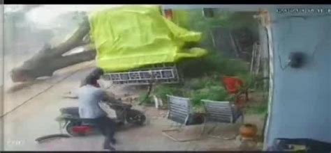 a tree fell down due to strong winds in lalitpur rain cctv footage ...