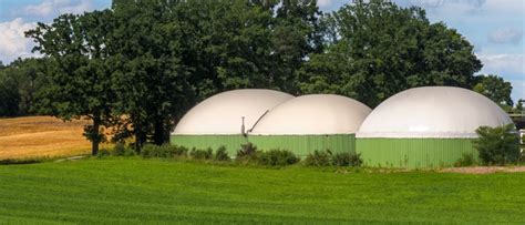 Biomethane into the Network: Opportunities in Europe