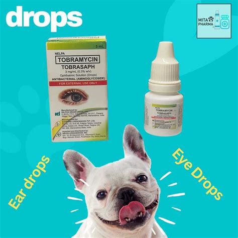 Tobramycin 5Ml Tobrasaph Pet Eye Or Ear Drops 641 | Shopee Philippines