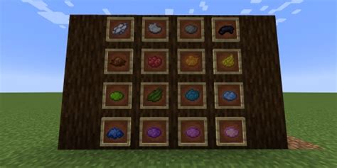 Minecraft: Complete Guide to Dyes and Automatic Farms