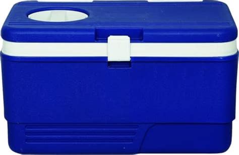 GION Portable 50L Ice Box with Handle - Leak Proof Lightweight ...