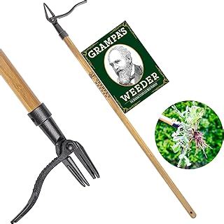 Best Weed Puller Tools for Crabgrass Cleanups and Easy Weeding – The ...
