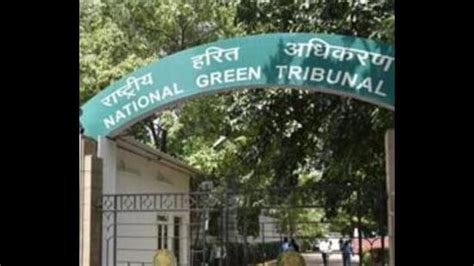 Trout fish farm damage: Himachal PWD, its contractor to pay ₹47.14L ...