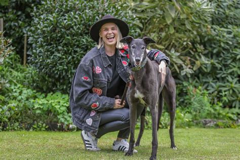 Greyhound racing ban: Hundreds of dogs will need new homes - NZ Herald