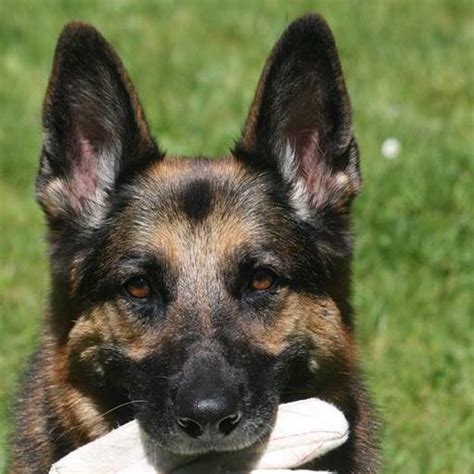 Crime Facts - In May 1997, Gary Patterson, a 33-year-old... | Facebook