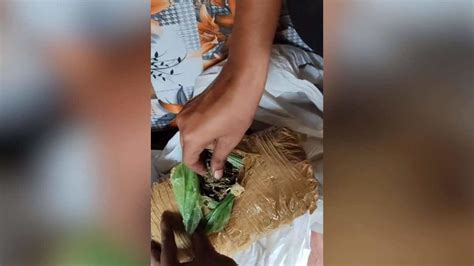 DRI busts interstate drug racket in Vijayawada, 249 kg ganja seized