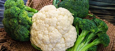 Cómo cocinar el coliflor para aprovechar sus beneficios y evitar el mal ...