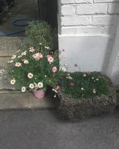 Pin de ℕᑌᖇ ᑕ𝕒ᗷ𝕖🌸🍋 en Dolls | Dibujos hermosos, Ilustración de girasol ...