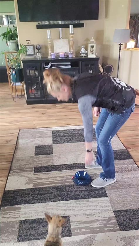 Operant conditioning & positive reinforcement. Starting out isn't alwa ...